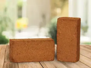 Coco Coir Disc Rectangular