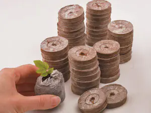 Coco Pellets