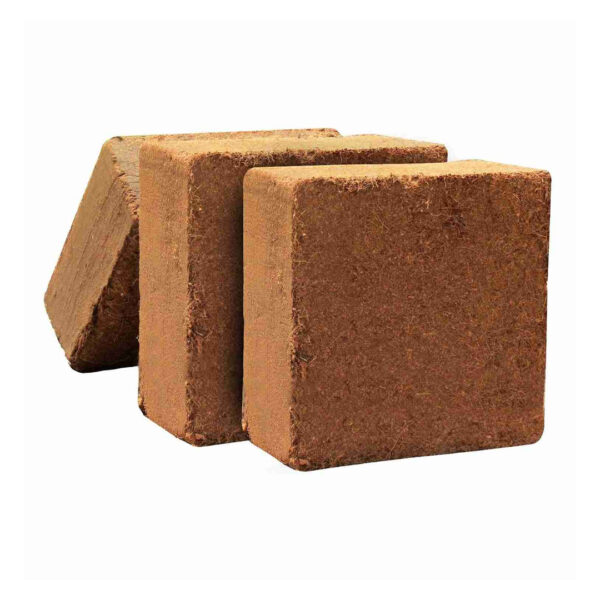 Square Coco Peat Bricks