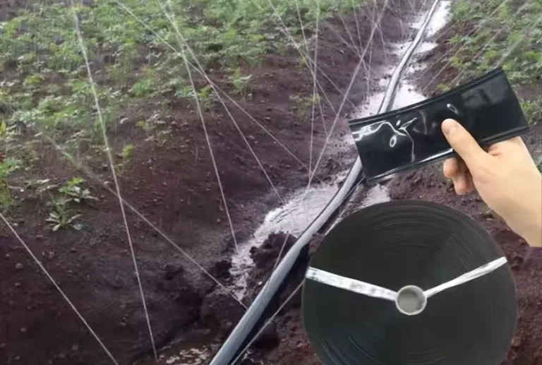 Drip Pipes vs. Micro Spray Rain Pipes: Which Irrigation System Works Best for Your Farm?