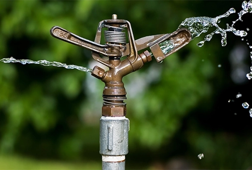 accent-sprinkler