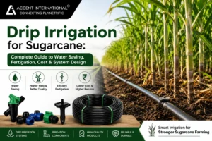 drip-irrigation-for-sugarcane